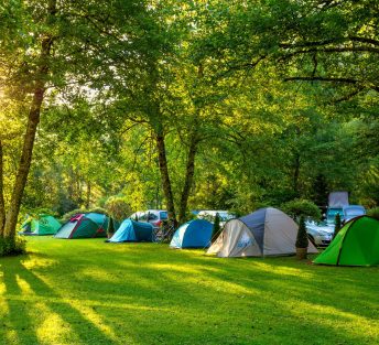 Tents Camping area, early morning, beautiful natural place with big trees and green grass, Europe